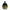 لوسیون سولاریوم اکس تن بیوتی مدل Golden Queen